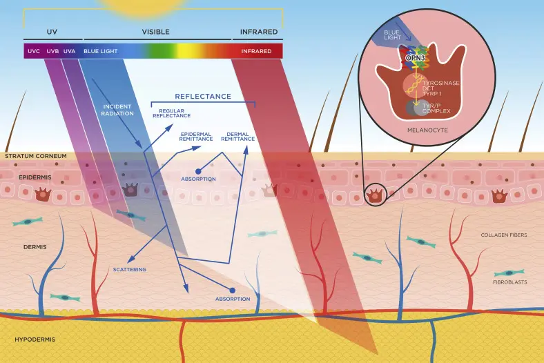 Environmental & Lifestyle Triggers