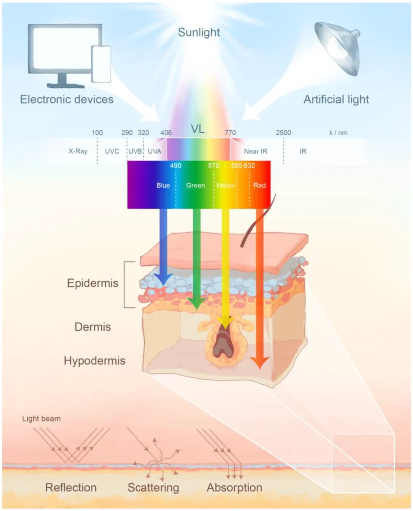 Heat and infrared radiation worsening skin pigmentation through inflammation image 1
