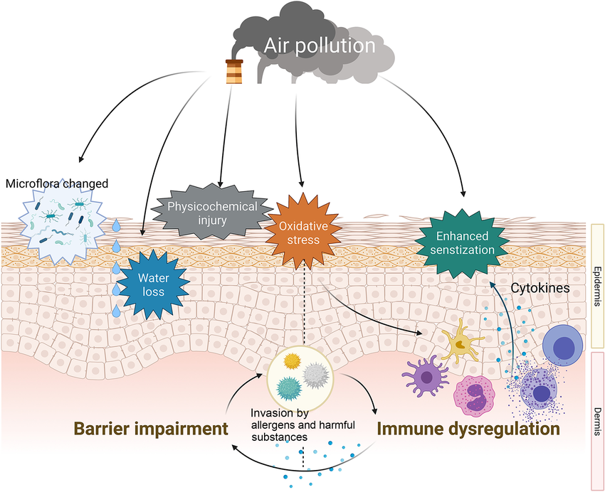 Pollution and dust causing oxidative stress and pigmentation