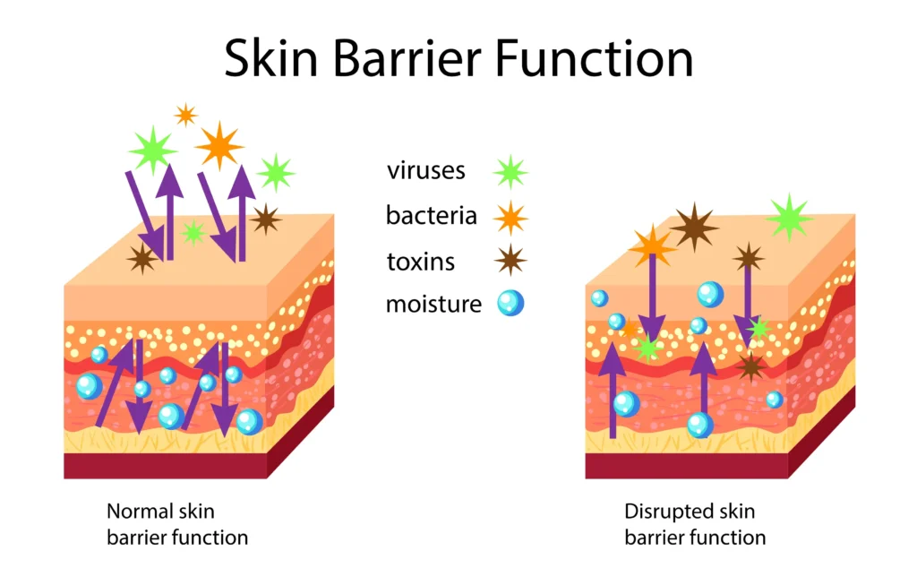 Skin_Barrier_Stock_Image