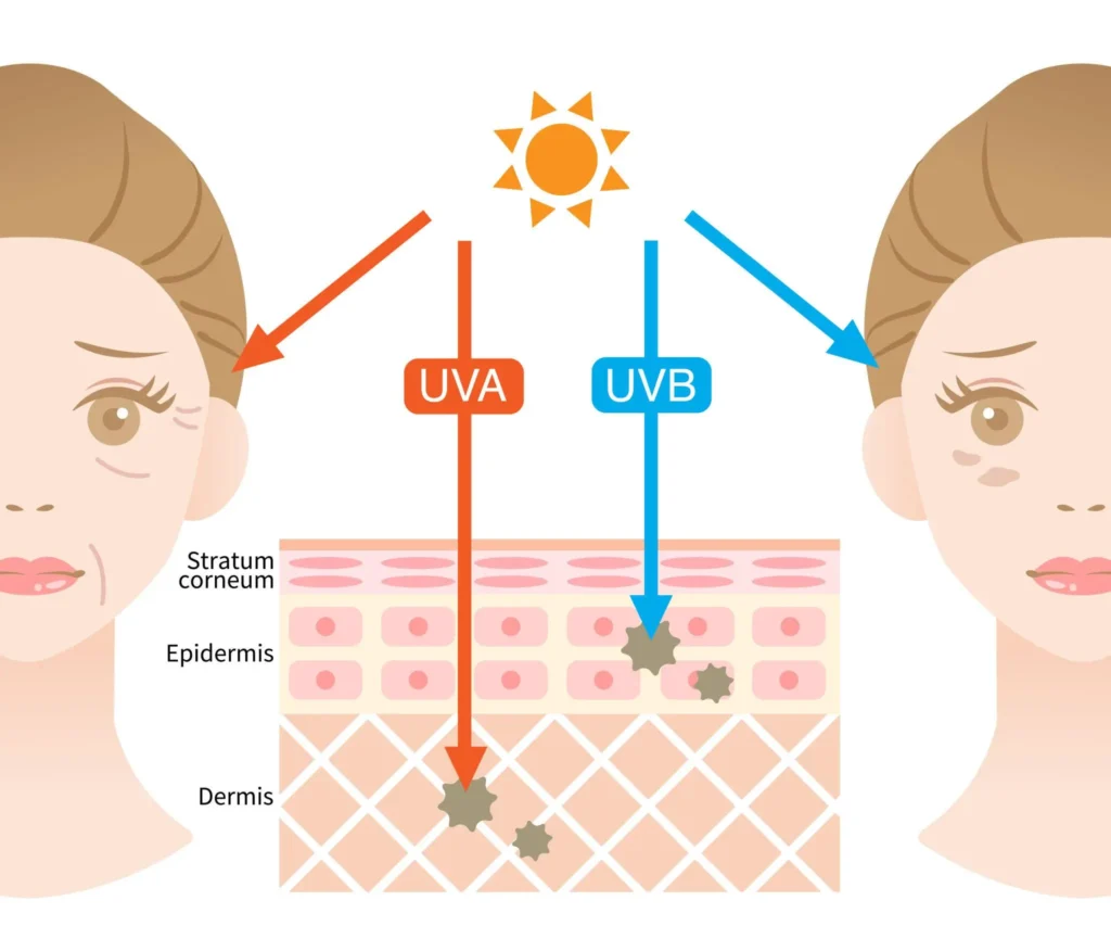 Diagram showing visible light and UV radiation penetration in skin and their role in pigmentation