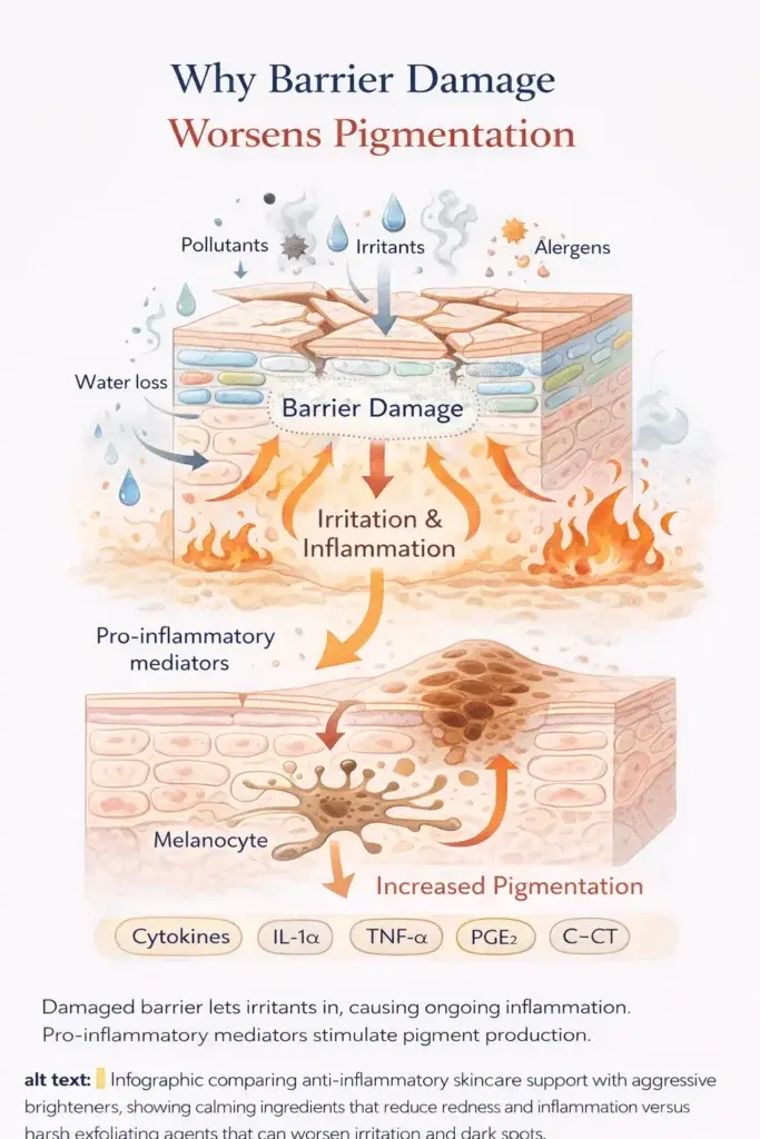 Why-Barrier-Damage-Worsens-Pigmentation