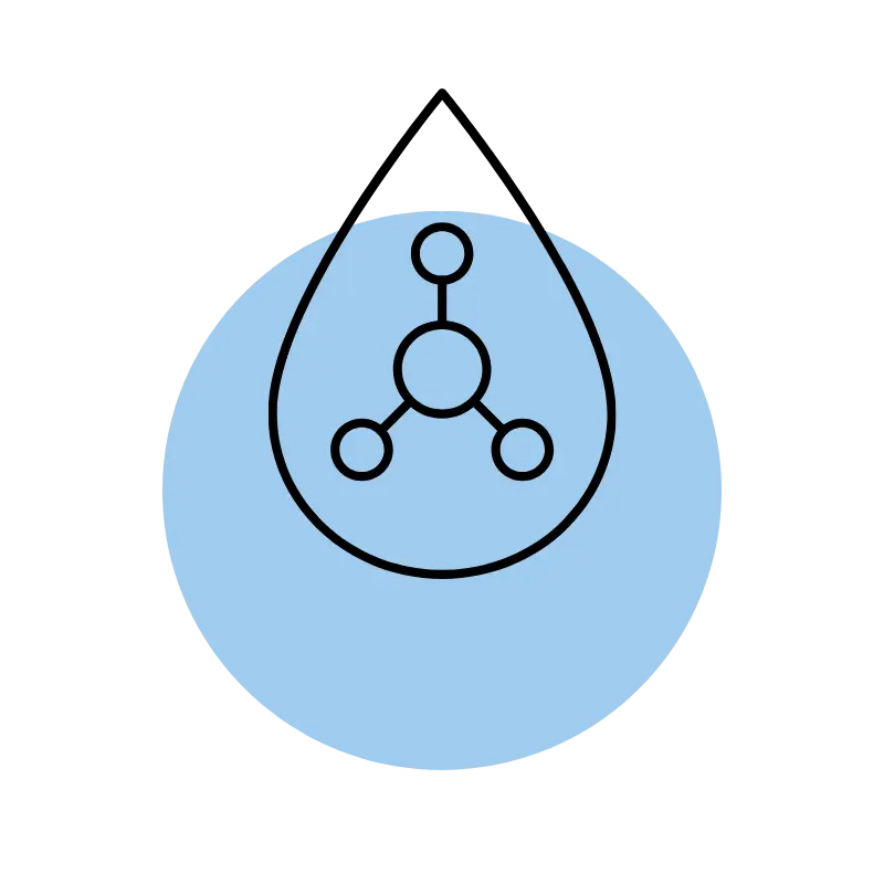 ferulic. acid icon
webp
