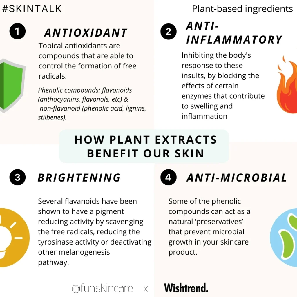 regenrative-skincare