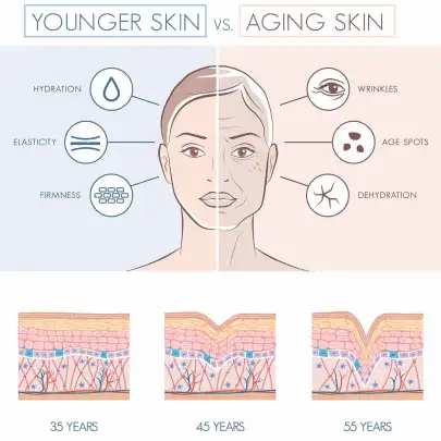 science-of-aging-skin.webp
