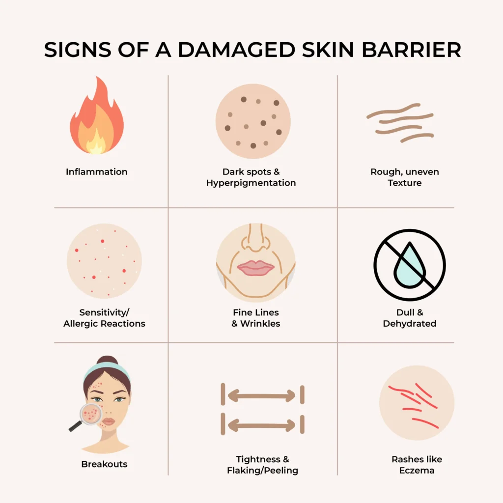 Skin barrier damage limiting pigmentation improvement
